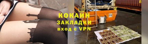 стафф Новозыбков