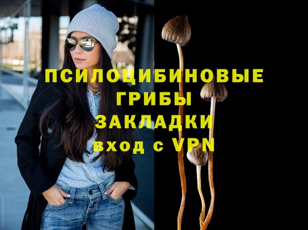 трава Новокубанск