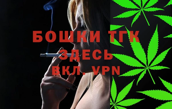 прущий лед Абаза